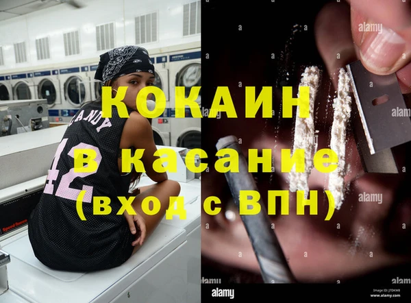 прущие грибы Балабаново