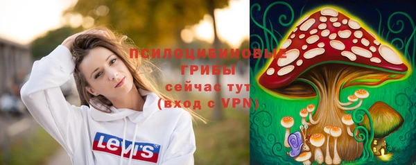 меф Арсеньев