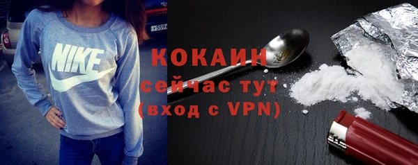 прущие грибы Балабаново