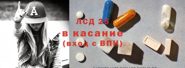 прущие грибы Балабаново