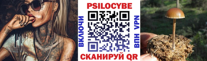 нарко площадка официальный сайт  Городище  Галлюциногенные грибы Magic Shrooms 